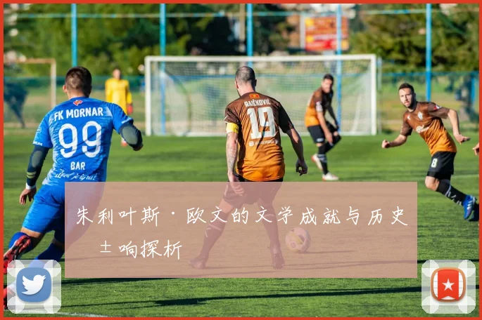 朱利叶斯·欧文的文学成就与历史影响探析