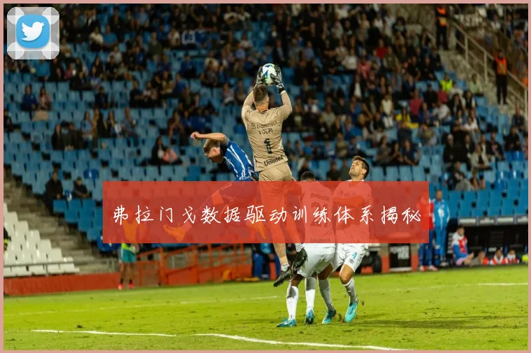 弗拉门戈数据驱动训练体系揭秘