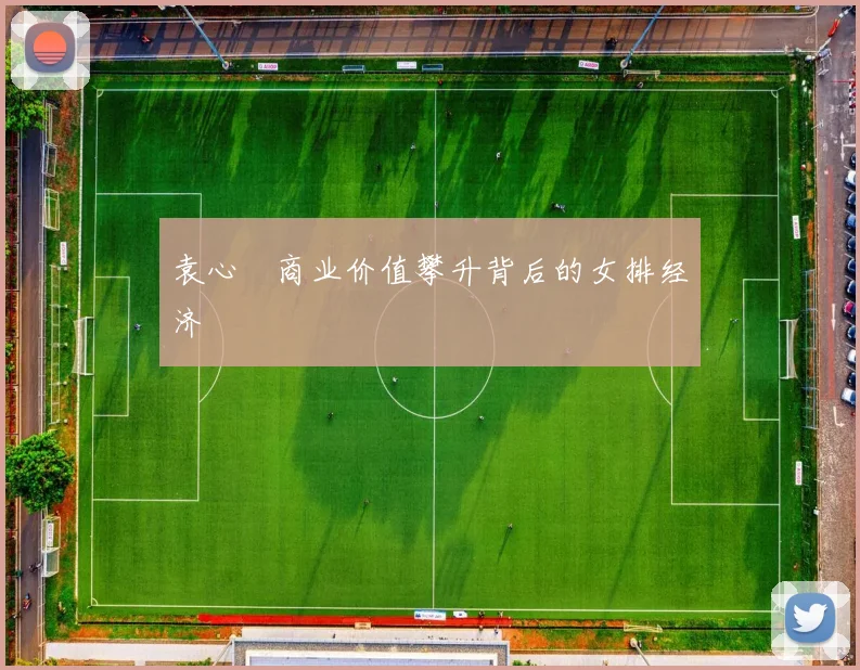 袁心玥商业价值攀升背后的女排经济