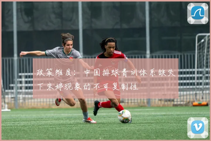 政策维度：中国排球青训体系缺失下朱婷现象的不可复制性
