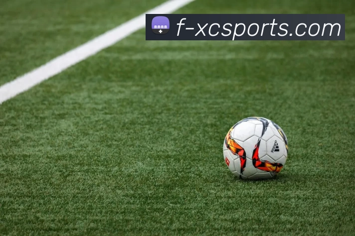 乒乓球运动的魅力与技巧探析：从基础训练到高水平竞技的全面解读